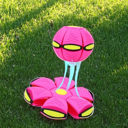 FrisbeeBall™ - Soucoupe volante et balle en un ! | 1+1 GRATUIT